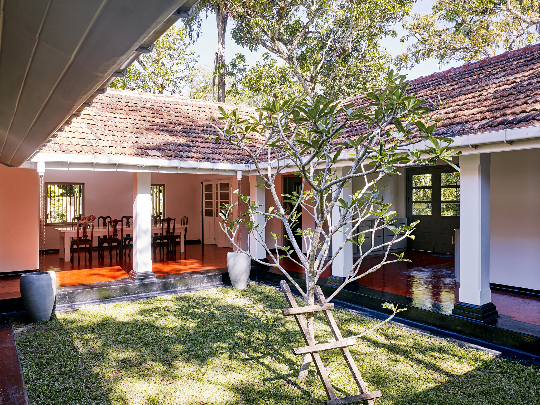 E15550 Alpa 049857 SCREEN